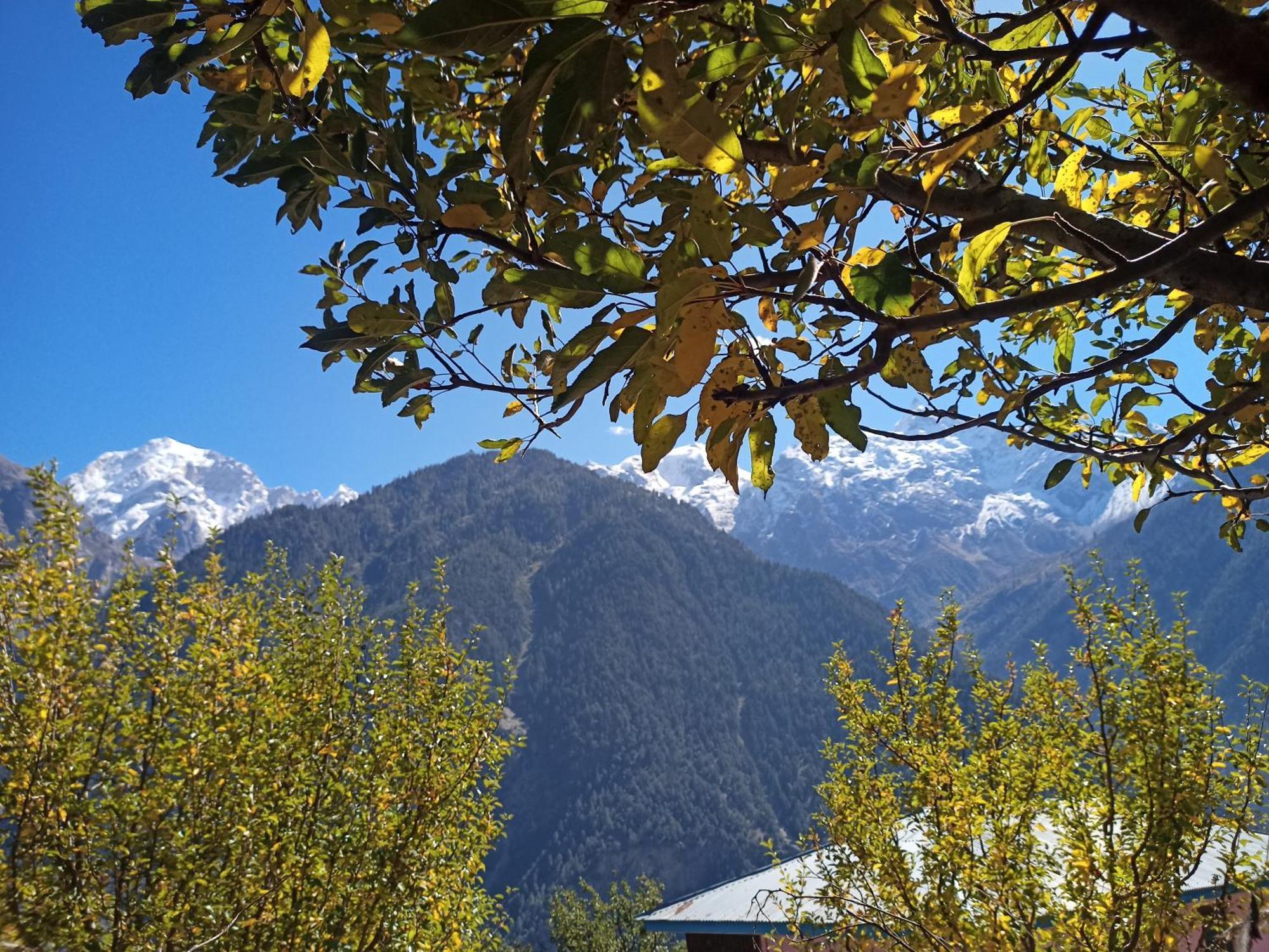 The Shudarang Inn Kalpa Eksteriør bilde
