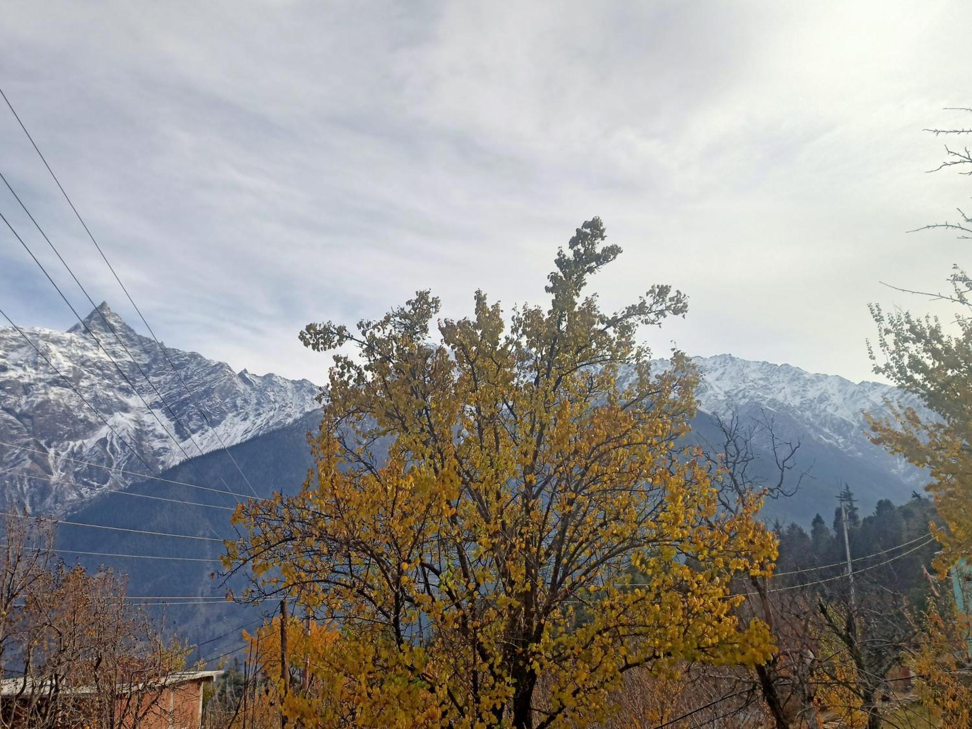 The Shudarang Inn Kalpa Eksteriør bilde